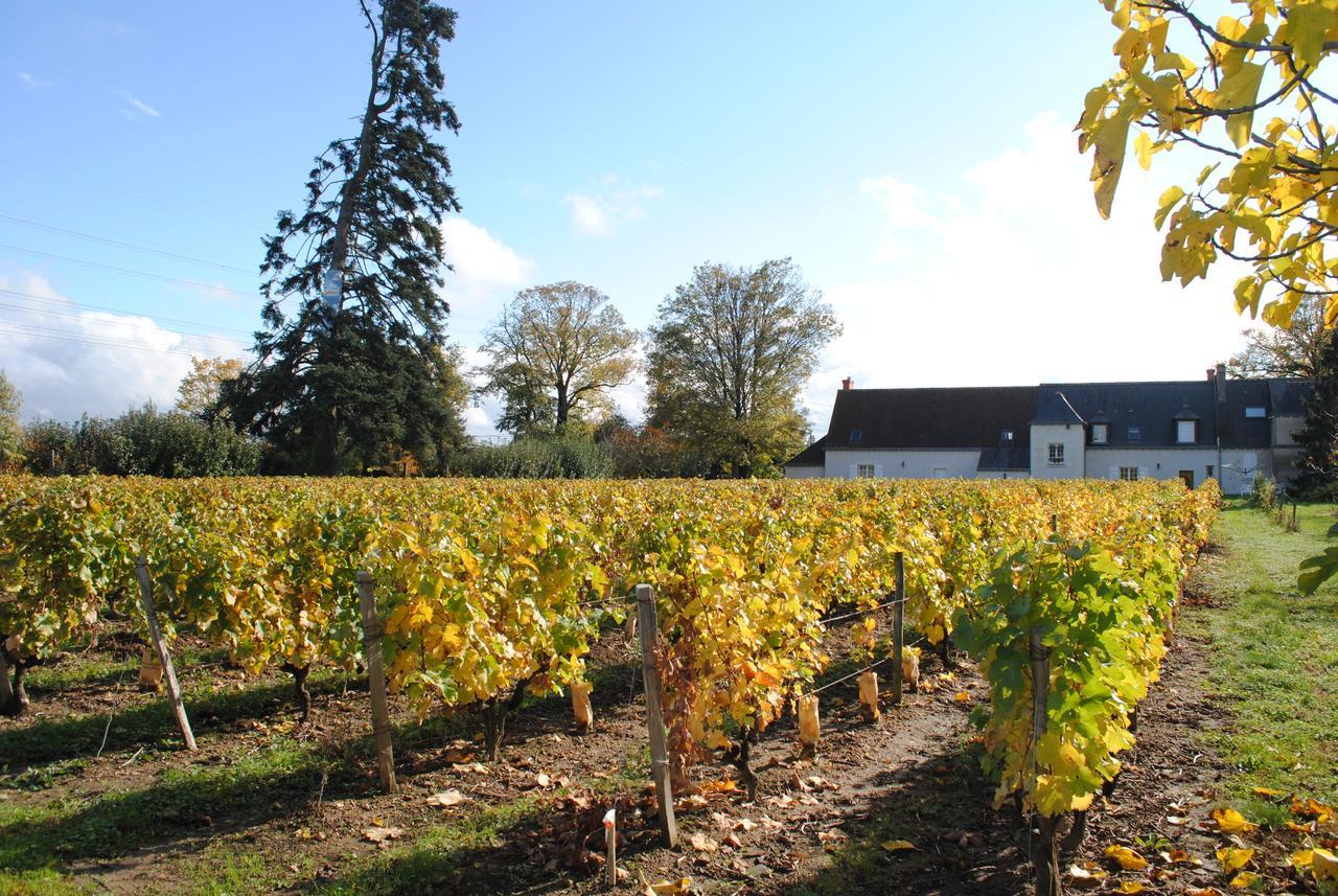 Au Clos De L'Epinay 武夫赖 外观 照片