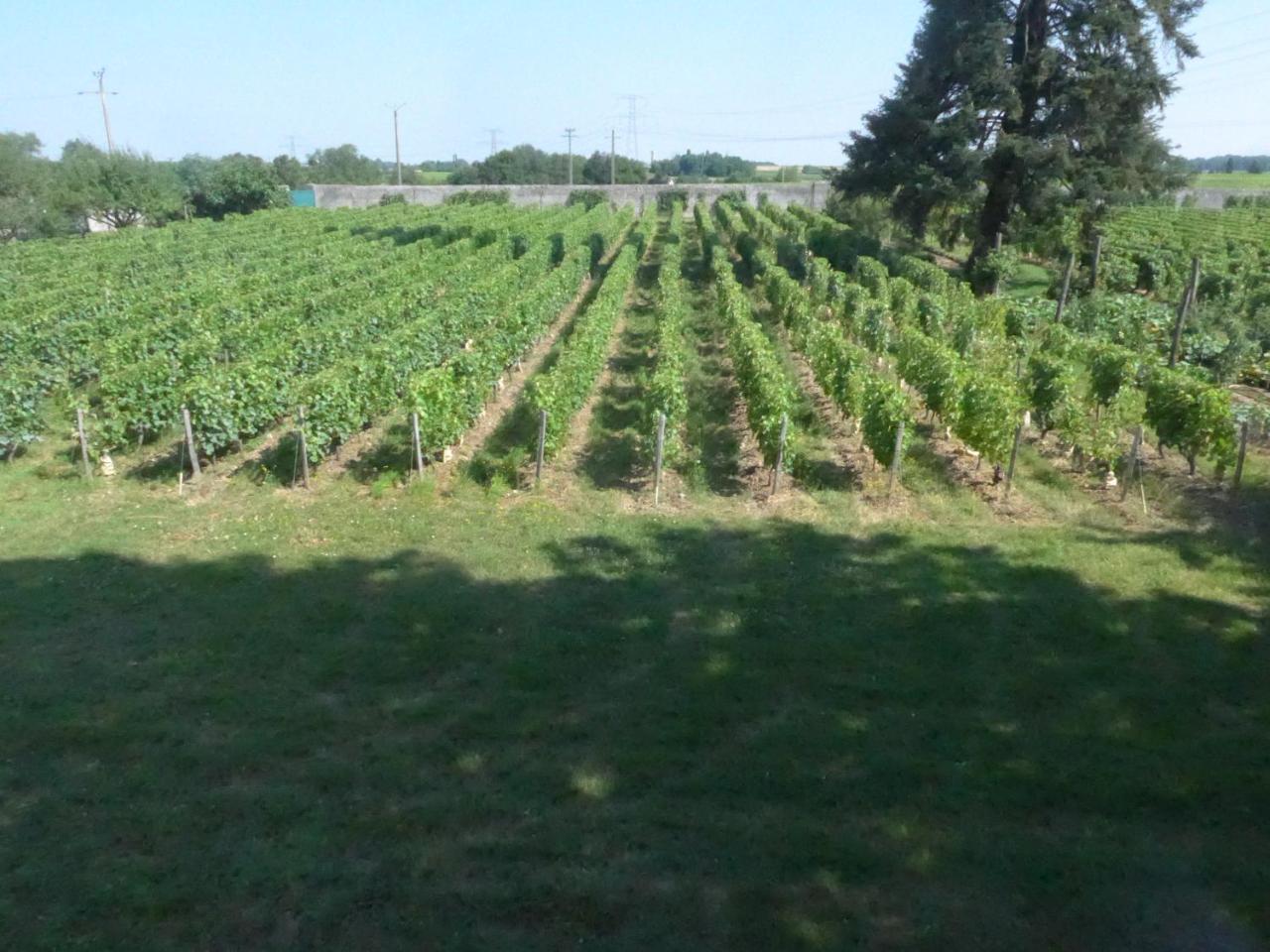 Au Clos De L'Epinay 武夫赖 外观 照片